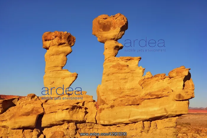 : Submarine Rock - prehistoric geological rock formation : Submarine Rock - prehistoric geological rock formation