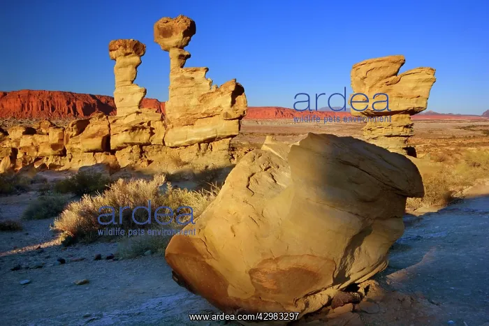  : Submarine Rock - prehistoric geological rock formation