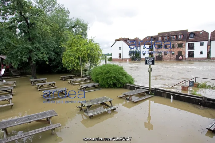 : Submerged picnic tables in pub alongside River : Submerged picnic tables in pub alongside River