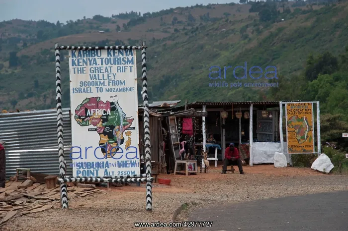 : Subukia Viewpoint - overlooking the Great Rift : Subukia Viewpoint - overlooking the Great Rift