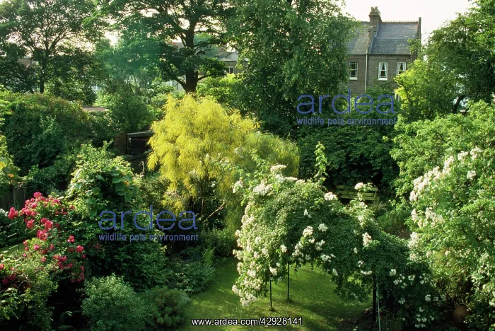  : Suburban Garden