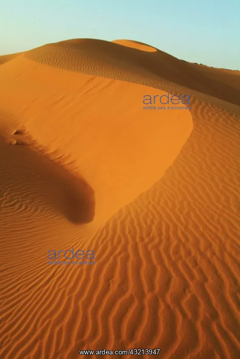 : Sudan, North (Nubia), dunes in the desert : Sudan, North (Nubia), dunes in the desert