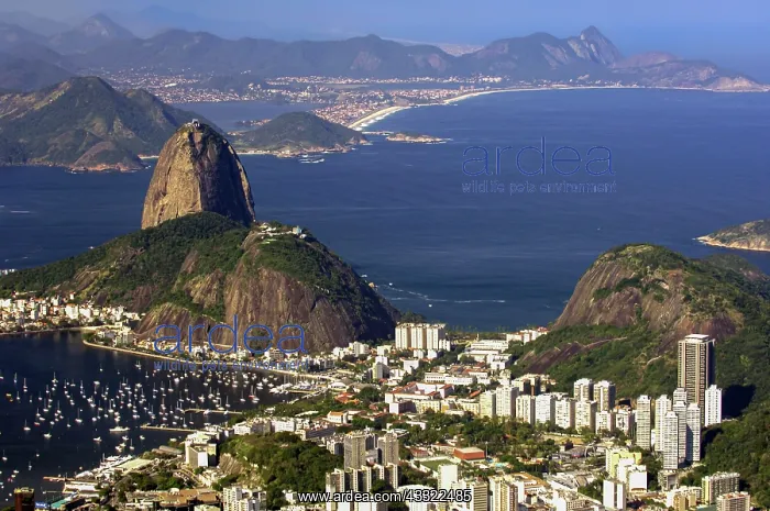 : Sugar Loaf, Pao de Acucar, seen from Corcovado : Sugar Loaf, Pao de Acucar, seen from Corcovado