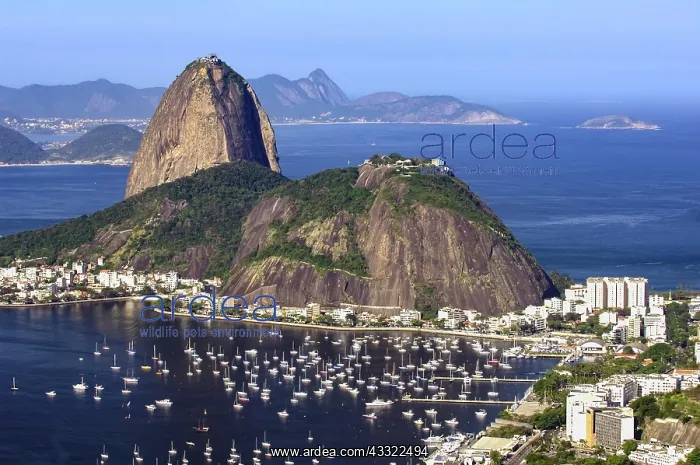 : Sugar Loaf, Pao de Acucar, seen from Corcovado : Sugar Loaf, Pao de Acucar, seen from Corcovado