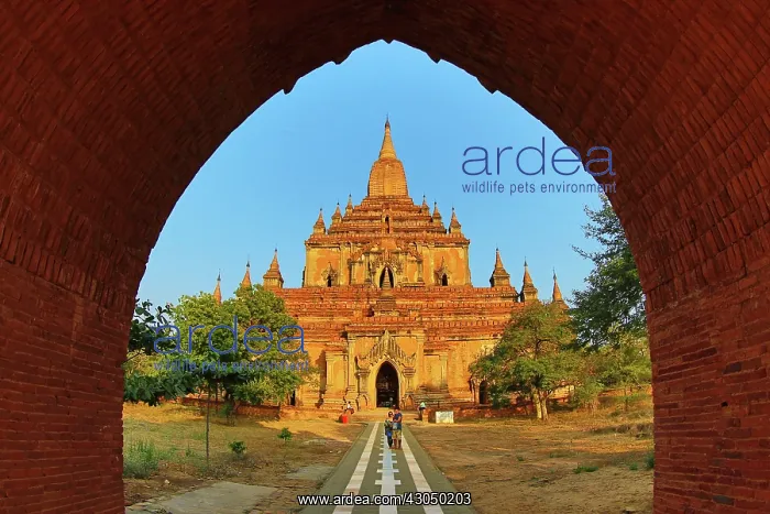 : Sulamani Guphaya Temple Pagoda on the Plain of Bagan, Ba : Sulamani Guphaya Temple Pagoda on the Plain of Bagan, Ba