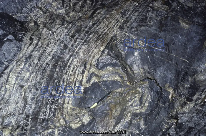 : Sulfide mineralization, Dachang, China : Sulfide mineralization, Dachang, China