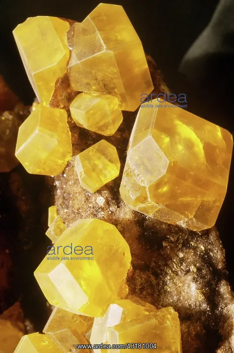 : Sulfur specimen from Italy : Sulfur specimen from Italy