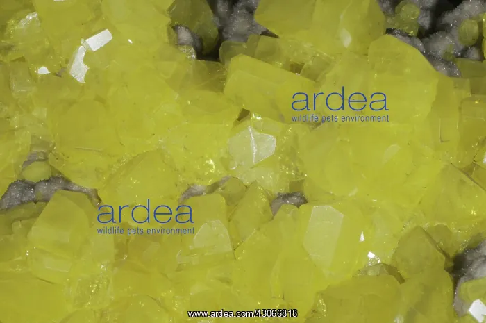 : Sulfur Crystals : Sulfur Crystals