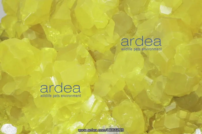  : Sulfur Crystals