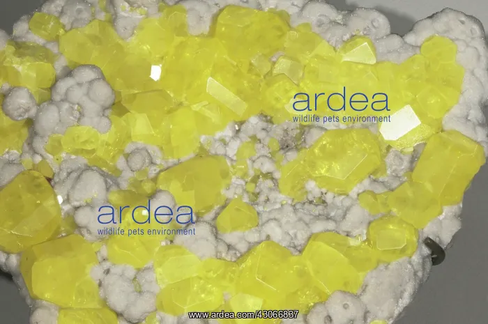 : Sulfur Crystals : Sulfur Crystals