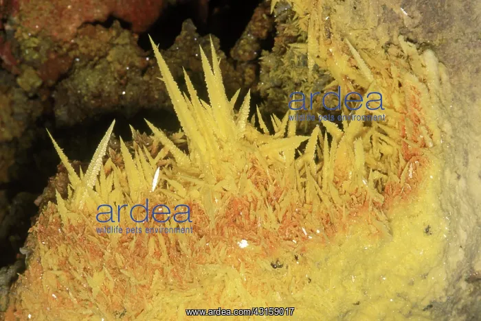  : Sulfur Crystals