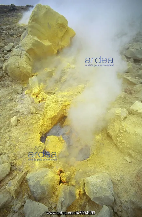 : Sulfur Deposits : Sulfur Deposits