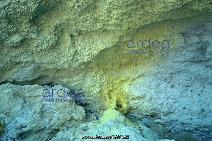 : Sulfurous Fumarole : Sulfurous Fumarole