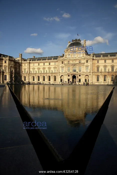 : Sully Wing of Musee du Louvre. Paris. France : Sully Wing of Musee du Louvre. Paris. France