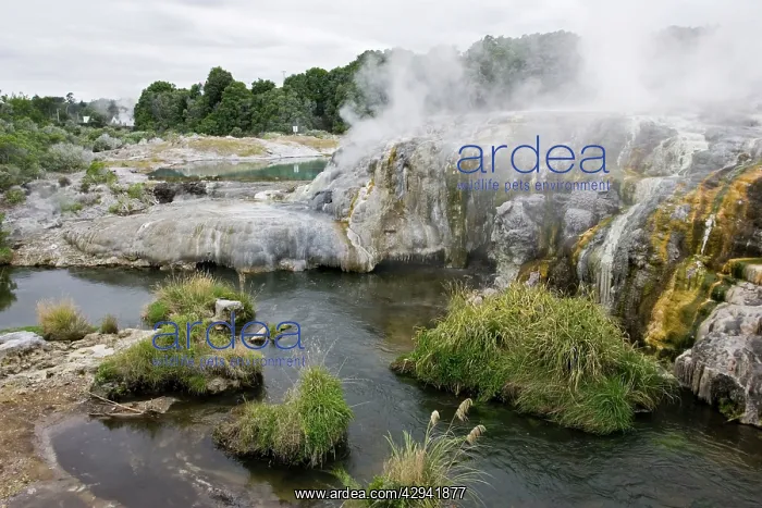  : Sulphur covered rocks and geothermal steam