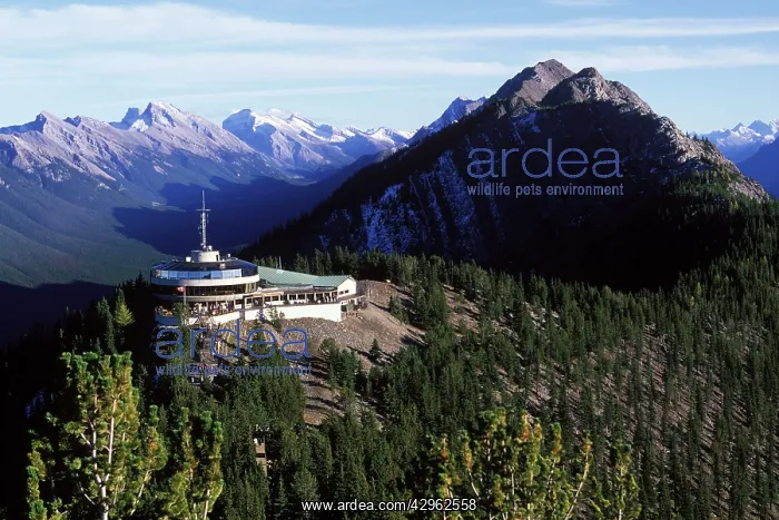 : Sulphur Mountain Gondola Terminal : Sulphur Mountain Gondola Terminal