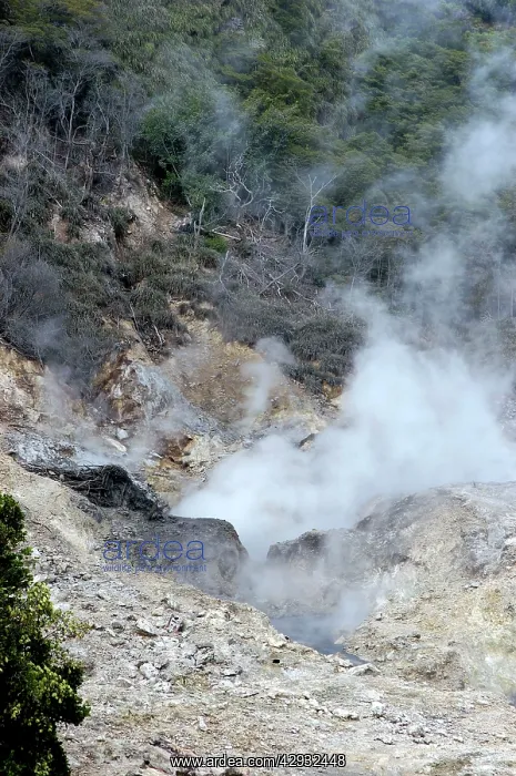 : Sulphur Springs - continuously escaping sulphurous : Sulphur Springs - continuously escaping sulphurous