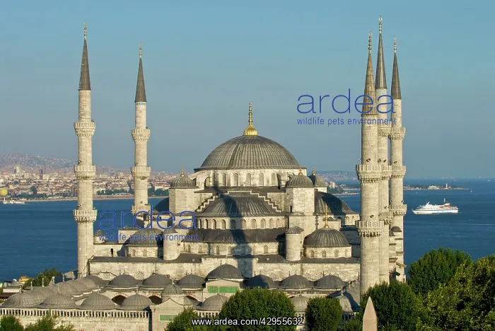 : Sultan Ahmed Mosque : Sultan Ahmed Mosque