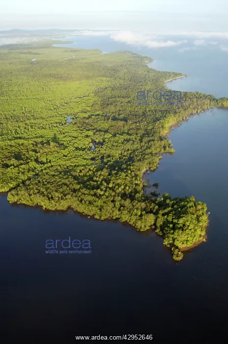  : Sulu Sea and rainforest on shore near Sandakan