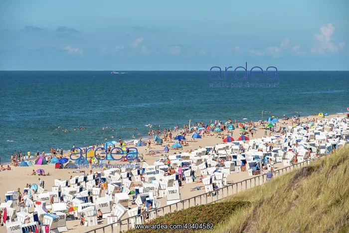 : Summer 2020 on the North Sea coast : Summer 2020 on the North Sea coast