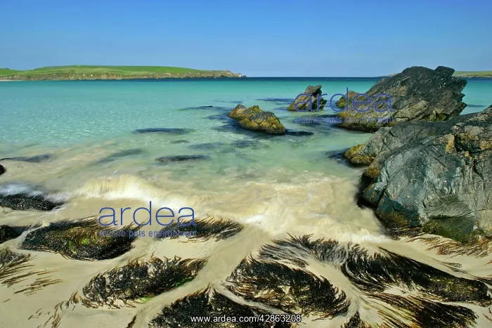 : Summer beach - approaching wave, blue sea, rocks : Summer beach - approaching wave, blue sea, rocks