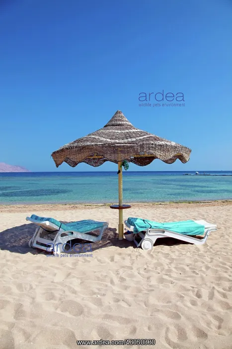 : Summer holiday beach umbrella by the sea and sun lounger : Summer holiday beach umbrella by the sea and sun lounger
