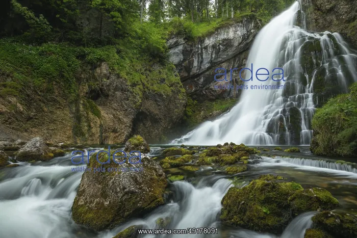 : Summer nature experience at the Golling waterfall with lots of water : Summer nature experience at the Golling waterfall with lots of water