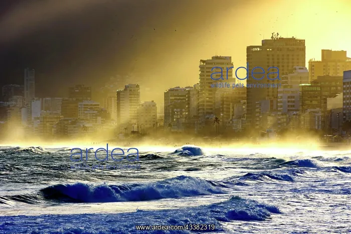  : Summer sunset at Ipanema beach in Rio de Janeiro