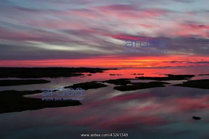 : Summer sunset near Reykjavik, Iceland : Summer sunset near Reykjavik, Iceland