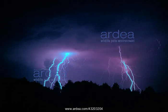 : Summer thunderstorm : Summer thunderstorm