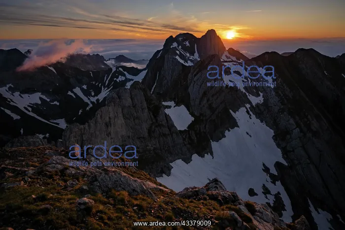 : Summit of the Altmann at sunrise, Wildhaus, Appenzell : Summit of the Altmann at sunrise, Wildhaus, Appenzell