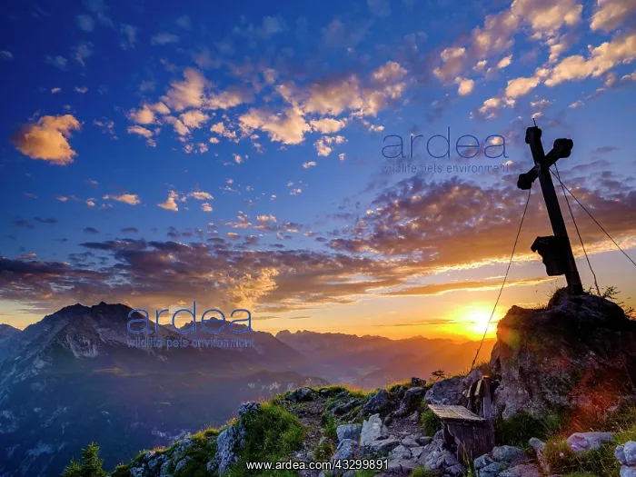 : Summit cross of the Brettgabel at sunset, in the : Summit cross of the Brettgabel at sunset, in the