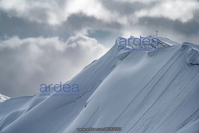 : Summit cross of the Hoferspitze with covered summit : Summit cross of the Hoferspitze with covered summit
