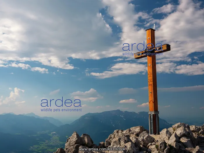 : Summit cross, Jenner, 1874m, Untersberg at the back : Summit cross, Jenner, 1874m, Untersberg at the back