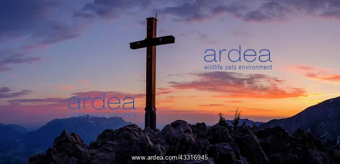 : Summit cross in red sky, Jenner, 1874m, Untersberg : Summit cross in red sky, Jenner, 1874m, Untersberg