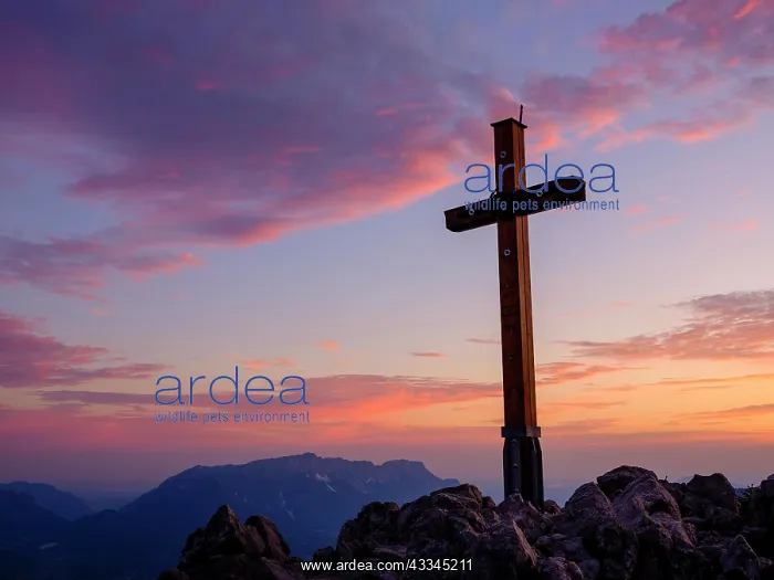 : Summit cross in red sky, Jenner, 1874m, Untersberg : Summit cross in red sky, Jenner, 1874m, Untersberg