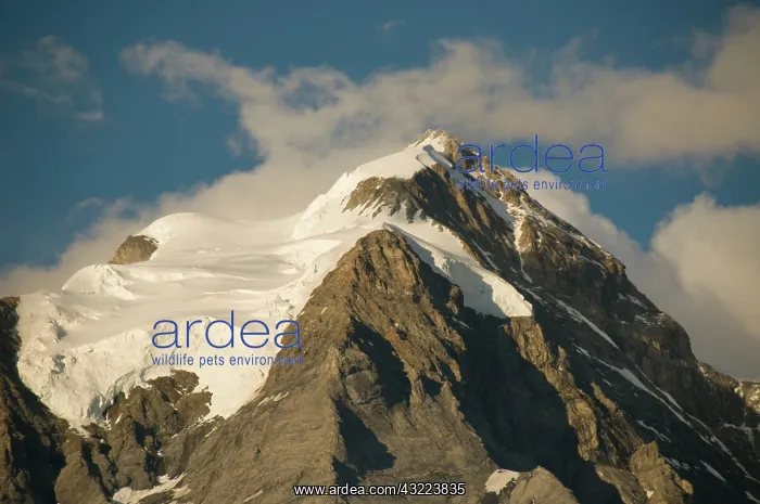 : Summit of Jungfrau, (4, 158 metres (13, 642 ft) : Summit of Jungfrau, (4, 158 metres (13, 642 ft)