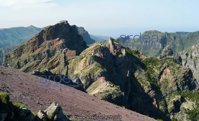 : The summit looking north - Pico do Arieiro : The summit looking north - Pico do Arieiro