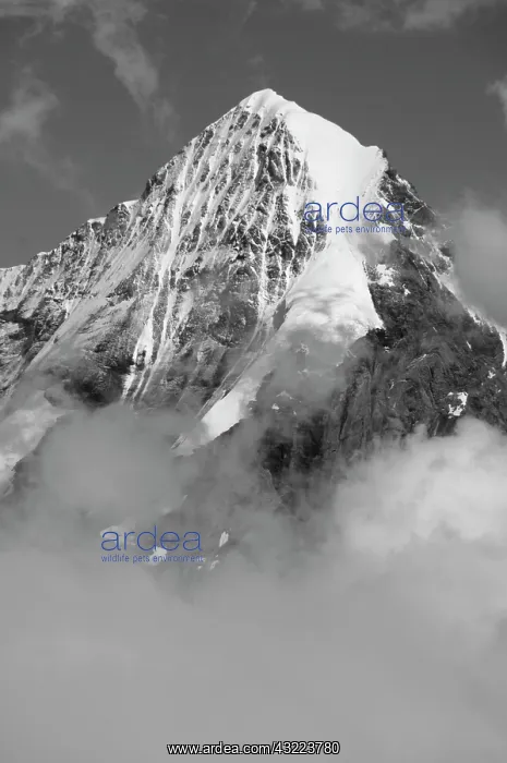 : Summit of the Monch, 4, 107 metres (13, 474 : Summit of the Monch, 4, 107 metres (13, 474