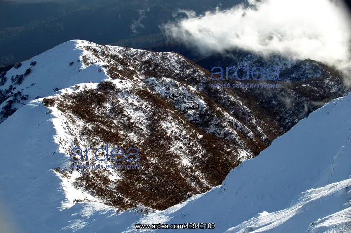 : Summit of Mount Buller Mount Buller Alpine Resort : Summit of Mount Buller Mount Buller Alpine Resort