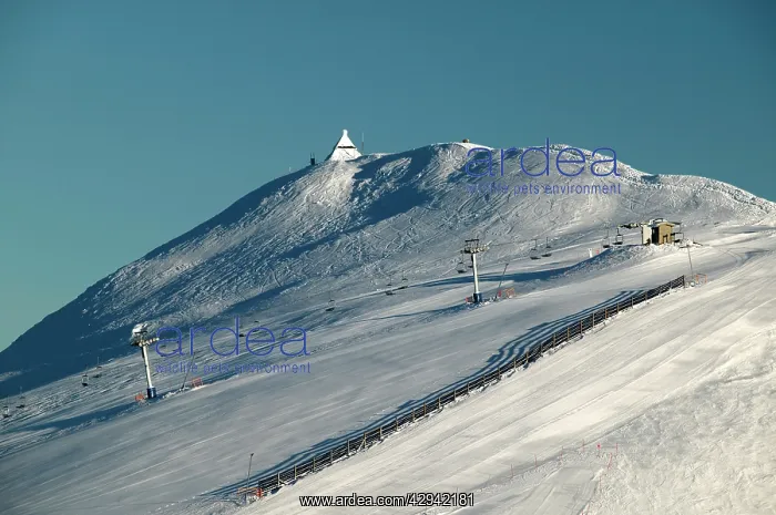 : Summit of Mount Buller.with trig point. Mount Buller : Summit of Mount Buller.with trig point. Mount Buller