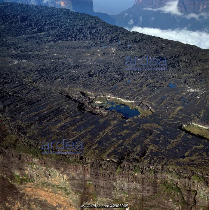 : summit of Mount Roraima (Cerro Roraima) with Lake Gladys : summit of Mount Roraima (Cerro Roraima) with Lake Gladys