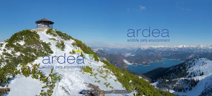 : Summit of Mt. Herzogstand with pavilion near lake : Summit of Mt. Herzogstand with pavilion near lake