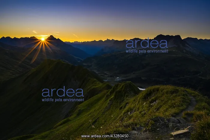 : Summit ridge of the H&, x1a6972;spitze with Lechtal : Summit ridge of the H&, x1a6972;spitze with Lechtal