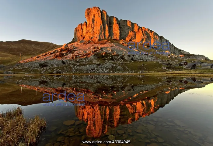 : Summit of the Tour d'Ai in the evening light, Waadtl&, x4ba4 : Summit of the Tour d'Ai in the evening light, Waadtl&, x4ba4