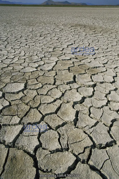 : Sun-baked Salt Flats : Sun-baked Salt Flats