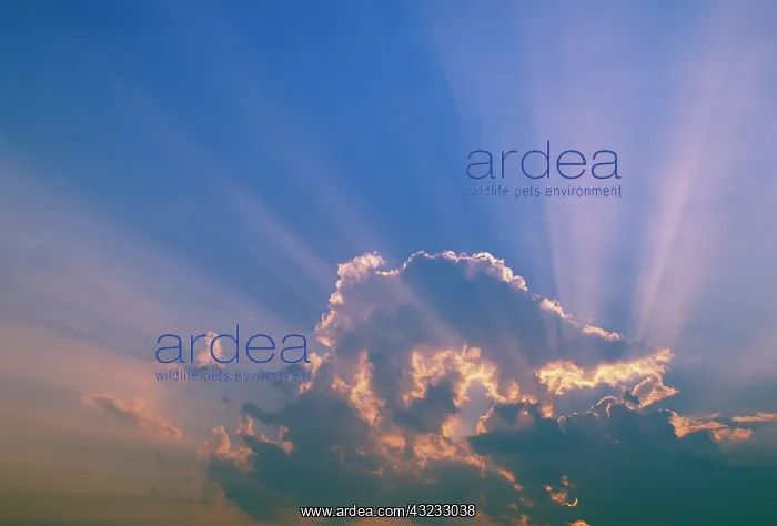 : Sun beams streaming through clouds : Sun beams streaming through clouds