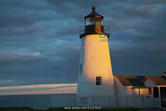 : Sun breaks through the clouds at Pemaquid : Sun breaks through the clouds at Pemaquid