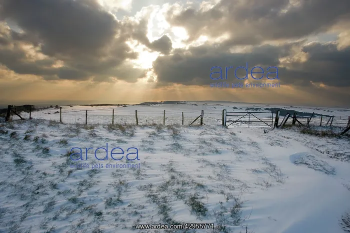 : Sun bursting through clouds over a snowy landscape : Sun bursting through clouds over a snowy landscape