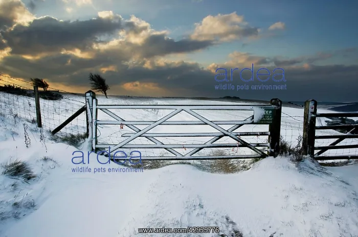 : Sun bursting through clouds over a snowy landscape : Sun bursting through clouds over a snowy landscape